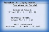 la vida de Sarah Parasha 5 jayey sarah
