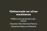 Cisticercosis en niños mexicanos