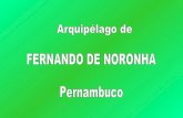 Fernando De Noronha - Pernambuco