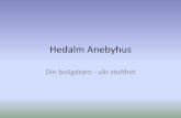 Hedalm anebyhus - 080415