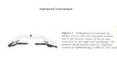 [DES1 Urgences] Traumatisme oculaire / Dr E.Tuil (17 mars 2012)