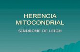 Herencia Mitocondrial y Síndrome de Leigh