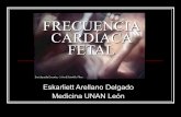 Frecuencia Cardíaca Fetal