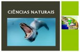 Ciências naturais 7   biodiversidade