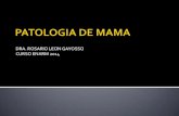 PATOLOGIA DE MAMA, MENOPAUSIA Y CLIMATERIO