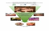 Cadena agroalimentaria de carne de cerdo