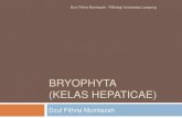 BTR (Botani Tumbuhan Rendah) bryophyta hepaticae