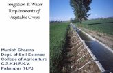 Irrigation & Water Requirements of Vegetable Crops