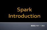 Spark introduction - In Chinese