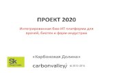 карбоновая долина   проект 2020 - общая презентация
