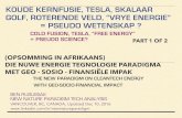 Koude kernfusie, Tesla, Skalaar golf, Roterende veld, Vrye energie.. = Pseudo wetenskap ? (Opsomming in Afrikaans) / Cold fusion, Tesla, Free Energy = Pseudo Science?