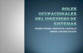 Roles  Del Ingeniero De Sistemas