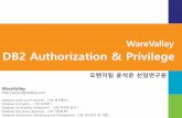 DB2 authorization & priviliege