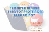 Transpot protein dan asam amino