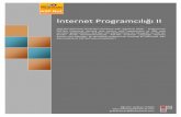 Internet programcılığı-i