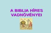 A Biblia hires vadnövényei[1]