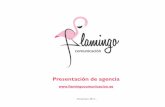 Presentación de agencia - Flamingo Comunicación