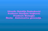 L207 - Biologija - Sisari – Natalija Radenković - Danijela Veljković