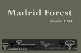 Venta e instalción de tarimas de madera, corcho y bambú- Madrid Forest S.A.