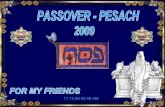 Passover Pesach.2009. (Nx Power Lite)