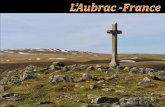 692 - l'Aubrac-France
