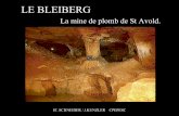 Le Bleiberg