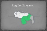 Región guayana