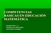 Competencias basicas en_educacion_matematica gonzález marí