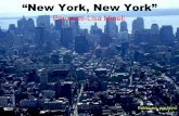 New york new_york