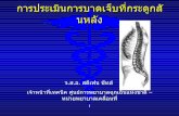 Spinal Injury (Thai)
