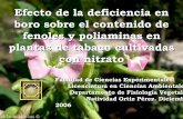 Efectos de la deficiencia en boro sobre el contenido de fenoles y poliaminas en plantas de tabaco cultivadas con nitrato