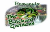 Butchart Gardens