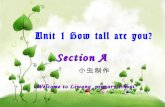 How tall are you ——小虫