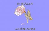 10 Rózsa Szamodra 2009-re