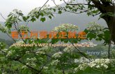 A Traveler's WP7 Experience Sharing 看五月雪說走就走