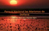 Parque Nacional Las Marismas De DoñAna