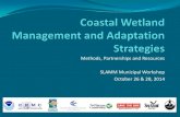 Coastal Weland Management and Adaptation Straegies