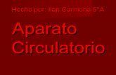 Proyecto Aparato Circulatorio Ilan Carmona
