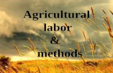 Agricultural  labor and methods