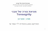 Tensegrity By Asaf Katz For Dr  Shai Hebrew