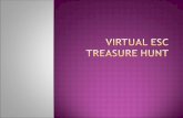 Virtual Treasure Hunt Winners
