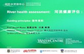 4 river health assessment   guiding principles