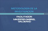 MetodologíA De La InvestigacióN Insam 2003