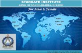 Stargate institute marketing presentation