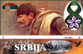 Prvi svetski rat u srbiji