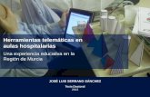 Herramientas Telemáticas en Aulas Hospitalarias: una experiencia educativa en la Región de Murcia