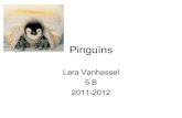 Presentatie1.ppt pinguin 2 (1)