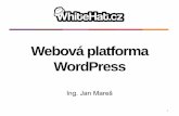 Možnosti webové platformy WordPress