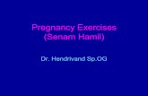 Pregnancy exercises 14 juli 2007