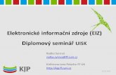 Elektronické informační zdroje (EIZ) pro UISK